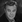 Michael Callan