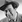Alan Carney