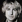 Owen Wilson