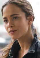 艾莉丝·布拉加 Alice Braga