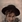 Noah Beery Jr.