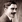Max Linder