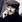 Louis Malle