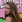 Vivien Cardone