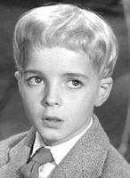 Martin Stephens