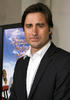 卢克·威尔逊 Luke Wilson)
