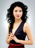 袁咏仪/Anita Yuen
