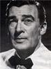 沃尔特·皮金 Walter Pidgeon)