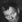 Michael Parks