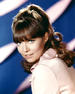 芭芭拉·费尔顿 Barbara Feldon)