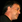 Sam Raimi