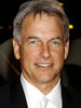 马克·哈蒙 Mark Harmon)