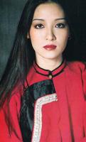 胡因梦 Terry Hu