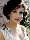 吉娜·劳洛勃丽吉达/Gina Lollobrigida