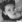 Kathryn Grayson