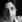 Ryan Sampson