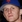 Michael Rapaport