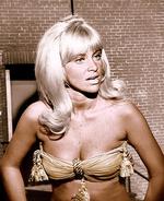 乔伊·哈姆恩 Joy Harmon