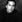 Eric Schweig