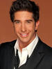 大卫·休默 David Schwimmer)