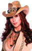 雪儿 Cher)