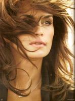 辛迪·克劳馥 Cindy Crawford