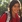 Lily Javaherpour