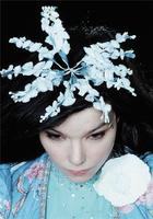比约克 Bjork