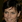 Carey Lowell