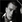 Elliott Tittensor
