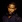 Jamie Foxx