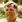 Pat Hingle