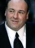 詹姆斯·甘多菲尼 James Gandolfini)
