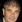 Robert Forster