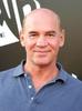 米彻·佩勒吉 Mitch Pileggi)