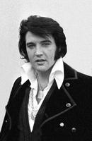 猫王 Elvis Presley
