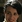 Susan Lynch