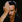 Bono