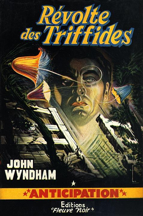 三尖树时代 dvd封套(法国)