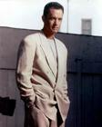 写真 #32：汤姆·汉克斯 Tom Hanks