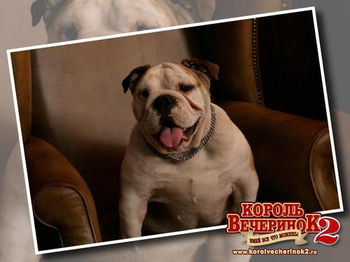 留级之王2 桌面 #03