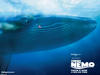 海底总动员/Finding Nemo(2003)