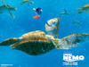 海底总动员/Finding Nemo(2003)