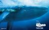 海底总动员/Finding Nemo(2003)
