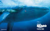 海底总动员/Finding Nemo(2003)