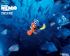 海底总动员/Finding Nemo(2003)