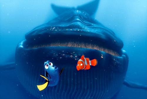 海底总动员/Finding Nemo(2003) 电影图片 剧照 #11 大图 750X502