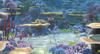 海底总动员/Finding Nemo(2003)