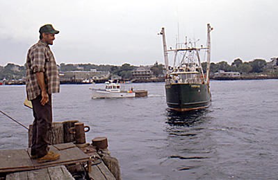 清凉一下~关于大海的电影儿~