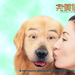 桌面 #01 省略图